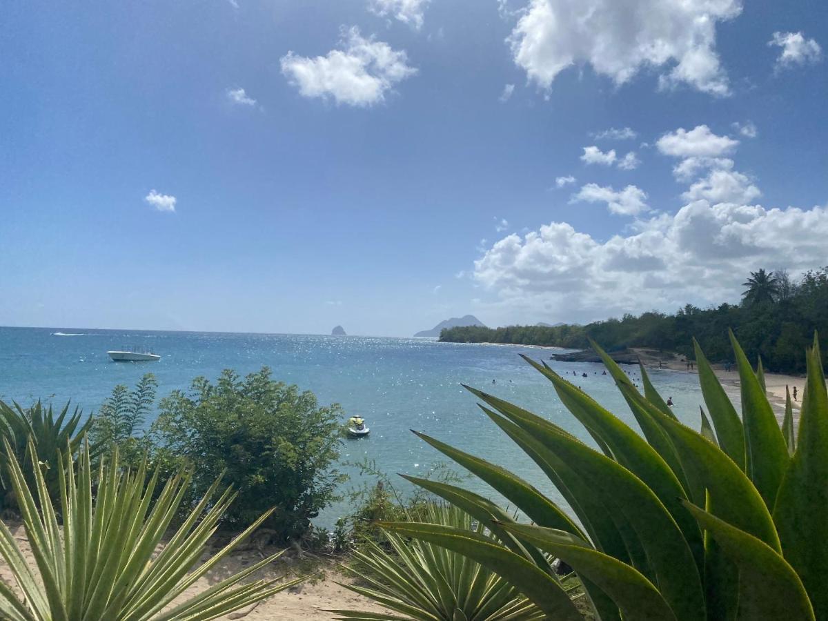 Studio Rdc La Desirade Martinique Acces Direct Plage แซ็งต์-ลูซ ภายนอก รูปภาพ