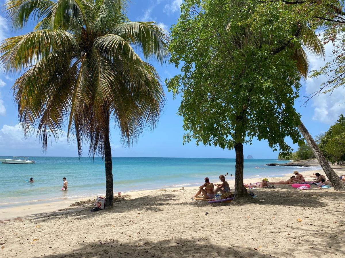Studio Rdc La Desirade Martinique Acces Direct Plage แซ็งต์-ลูซ ภายนอก รูปภาพ