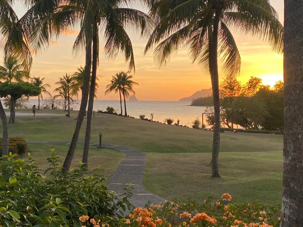 Studio Rdc La Desirade Martinique Acces Direct Plage แซ็งต์-ลูซ ภายนอก รูปภาพ